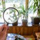 indoor air quality