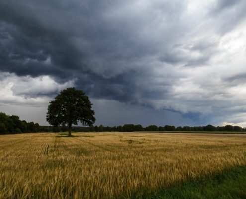 summer storm