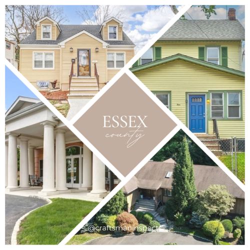 Illustration of Luxury Green Home Inspection Near Me
