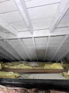 An attic with white-painted wood surfaces indicating mold encapsulation or fire damage, a red flag discussed in our home inspection attic tips.